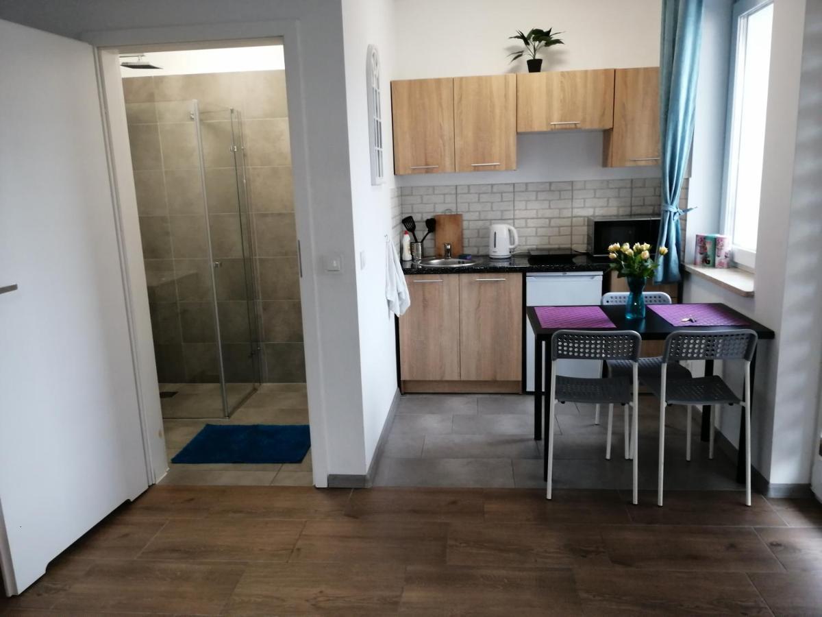 Pokoje - Studio Gliwice I Przy Onkologii Bagian luar foto