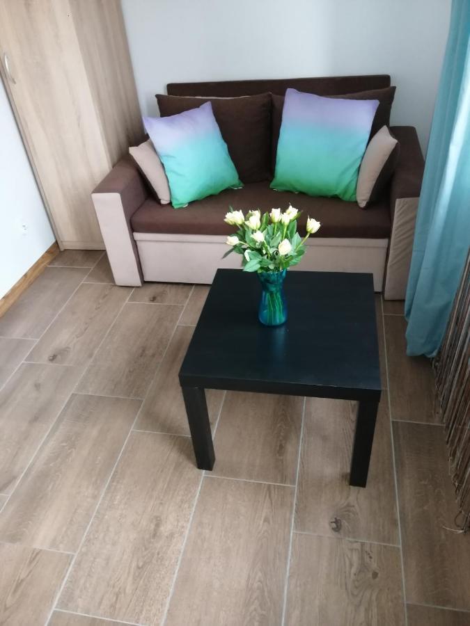 Pokoje - Studio Gliwice I Przy Onkologii Bagian luar foto