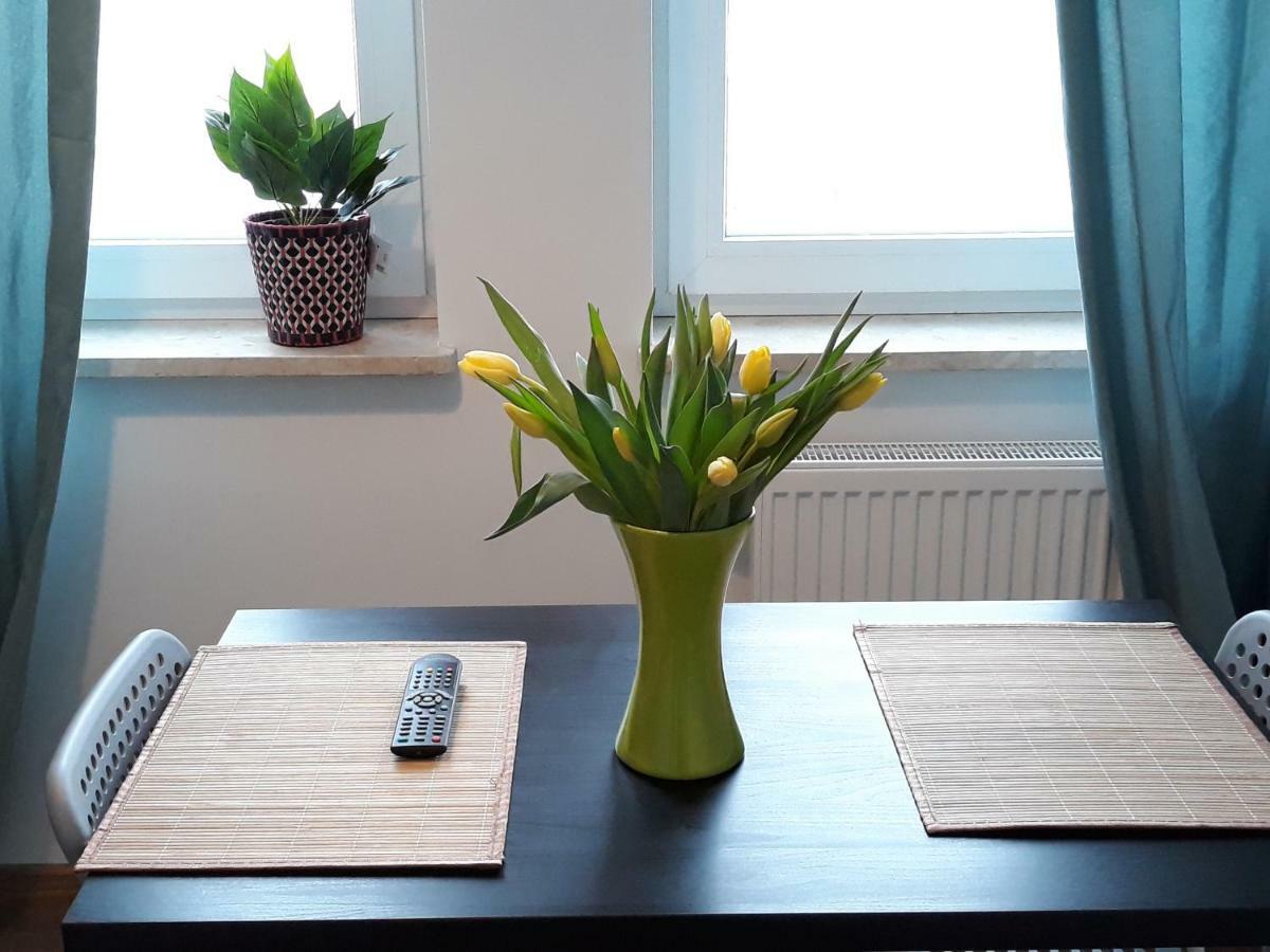 Pokoje - Studio Gliwice I Przy Onkologii Bagian luar foto