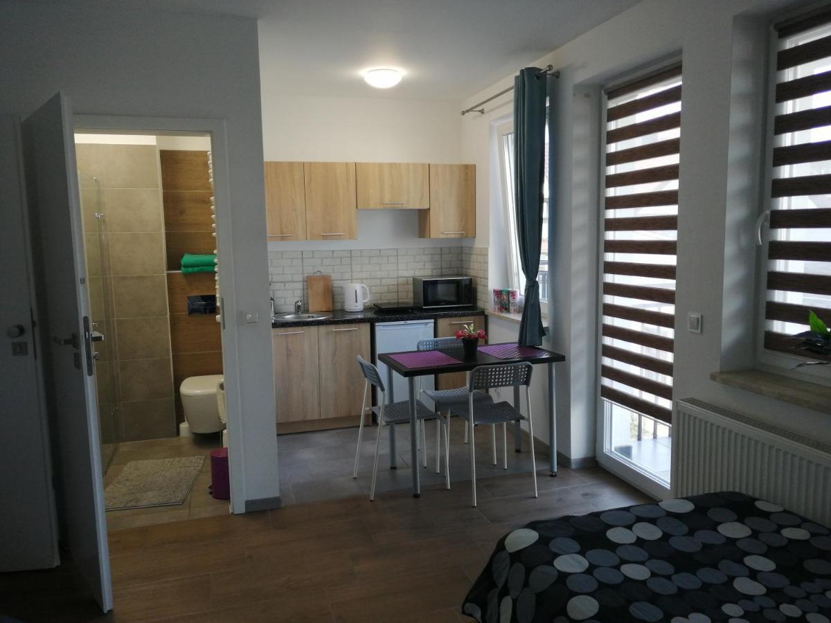 Pokoje - Studio Gliwice I Przy Onkologii Bagian luar foto